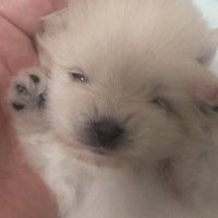 น้องจิ๋ว (@jerniin) 's Twitter Profile Photo น้องจิ๋ว (@jerniin) 's Twitter Profile Photo