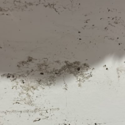 SLqtrwny61484's profile picture. 