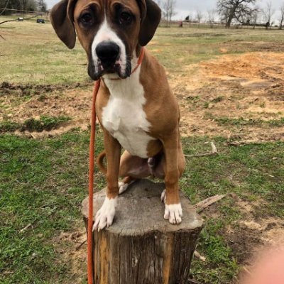 Sampson06939031's profile picture. fast and furious 1A 2A MAGA Prolife Back the Blue Trump Won  🚫 DM