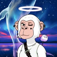 Metamorphose (@ameliorate_self) 's Twitter Profile