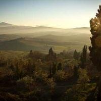 OkenManz44701's profile picture. 