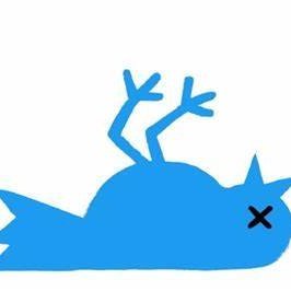 domvar's profile picture. 