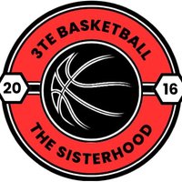 3TE Basketball (@3tebasketball) 's Twitter Profile