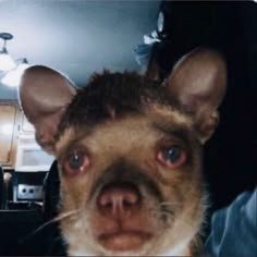 MiTakoo26236's profile picture. #บอลสด #บอลคืนนี้ #บอลไทย #บอลสเต็ป #ทีเด็ดบอล 
#แทงบอลออนไลน์ #javhd #หนังav #หนังโป๊ดูฟรี