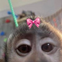 mariane bt (@marianewith_e) 's Twitter Profile