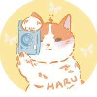 Haru (@day_light_haru) 's Twitter Profile