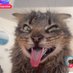 LÉ NUT (@_whitenut_) Twitter profile photo LÉ NUT (@_whitenut_) Twitter profile photo