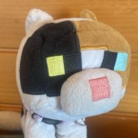 Edward C (@edwardc60677826) 's Twitter Profile