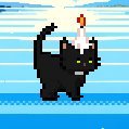 Firework Cat (@kittenfirework) 's Twitter Profile