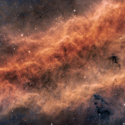 MParker7777777's profile picture. Just a girl, going through life, enjoying myself immensely until forced to endure a low-IQ buffoon as President.   It's going to be painful getting rid of him.