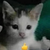 Dylan XD (@xddylan48617) Twitter profile photo Dylan XD (@xddylan48617) Twitter profile photo