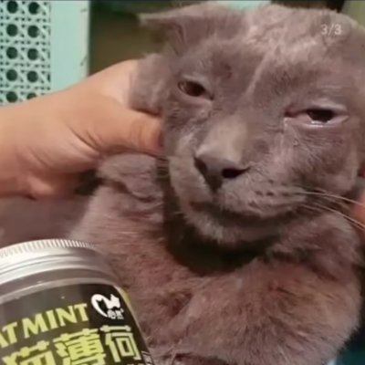 2Darings's profile picture. aka IRainy_Voxge (2018-2023)
I don't use this shitty thing anymore
doing too much shit to put on here
yeah.