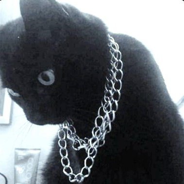 tyytosh's profile picture. i play games and be bad at it