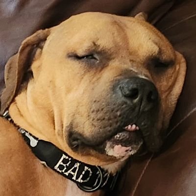 Retired professional model builder and master electrician. Now old crippled amputee hoping I can put food on the table.