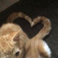 猫嬷 (@ki34823362) 's Twitter Profile