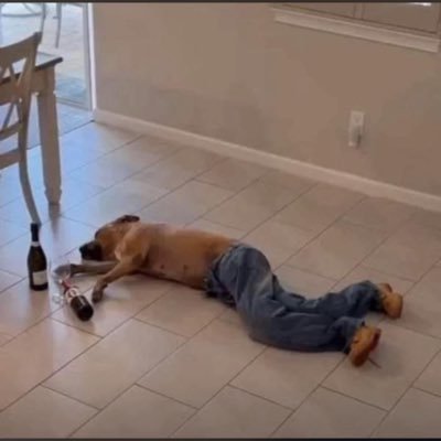 kezbibi's profile picture. 👻: foxxof_ck Ig: kezbibi