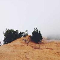 CindrichG66662's profile picture. 