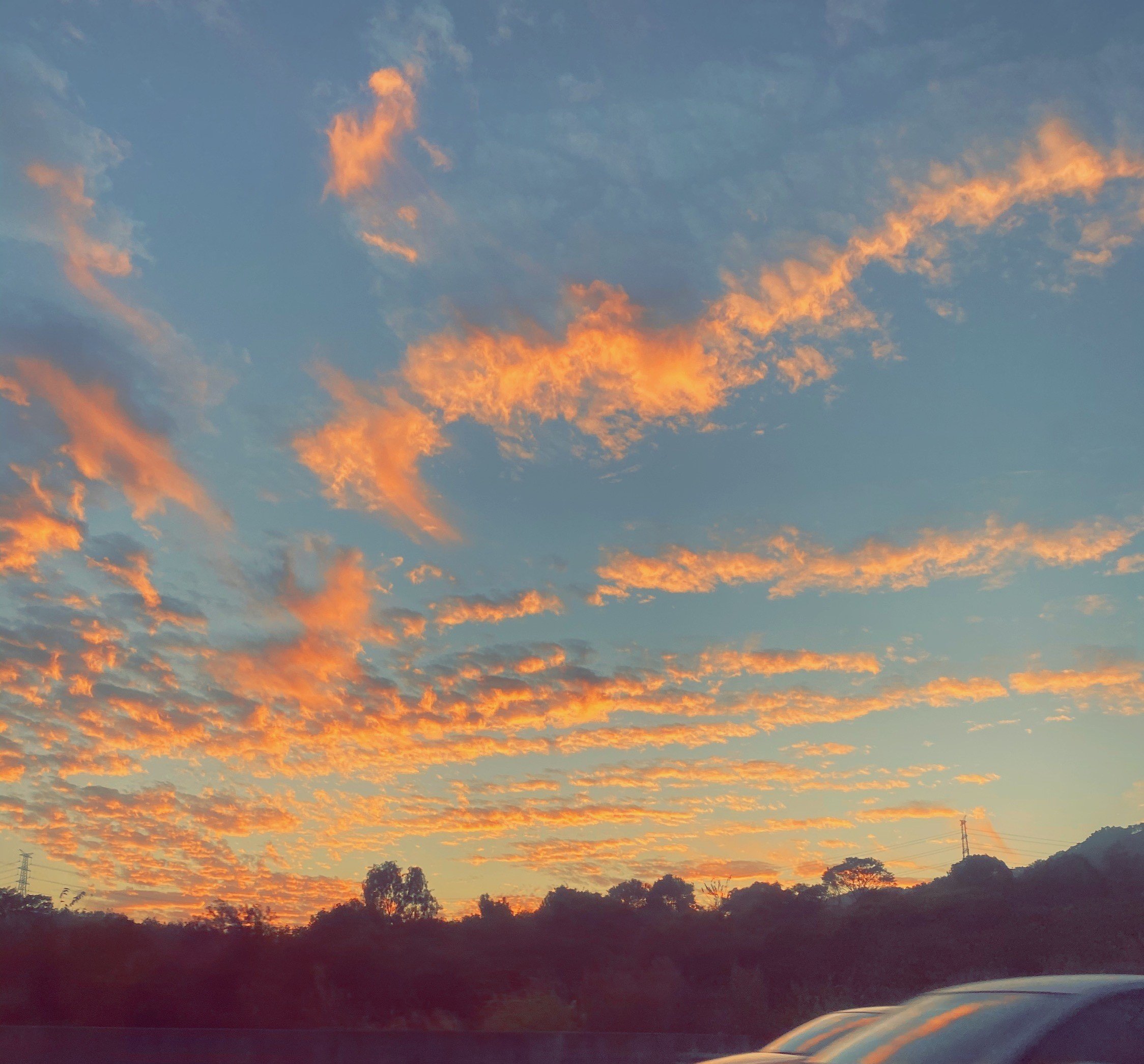 Tiorough0h5's profile picture. If you like it, you have to fight for it; if you don’t like it, you have to work hard for it.