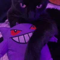 AnTogSxz (@antogsxz) 's Twitter Profile Photo AnTogSxz (@antogsxz) 's Twitter Profile Photo
