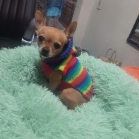 Ricardo Fernandez (@ricardo47521018) 's Twitter Profile Photo