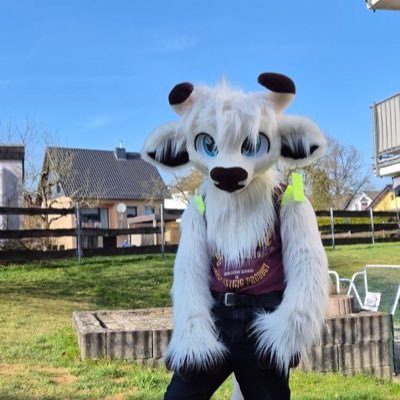 Furry, Puppy 🐶 I 32 Years old I Happily Married with my Love @Dulcio_ I From NRW GER I PN Friendly I Cow Sona: Tofmuh