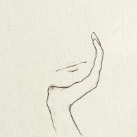Marie F (@marietfarrell1) 's Twitter Profile