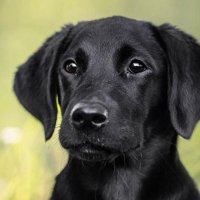 maff (@maffstephens) 's Twitter Profile