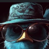 Aydan (@aydan299870) 's Twitter Profile