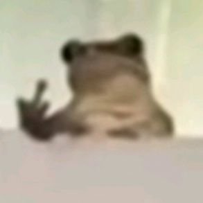 Beeth_twentyone's profile picture. un ser humano más