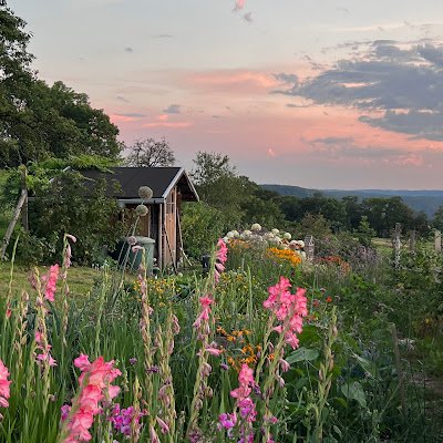 TVHelau's profile picture. 