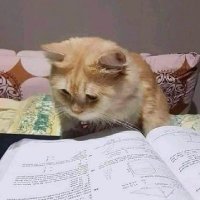 Markus Topitz π¦πΉ (@markustopitz) 's Twitter Profile