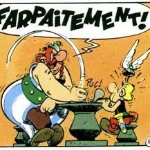 🇷🇴 Antipass de la honte, ma liberté est non négociable , on ne touche pas à mes enfants , quoi qu’il m’en coûte ! Résistants de tous bords acceptés !
