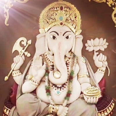 Chelizi2025's profile picture. 