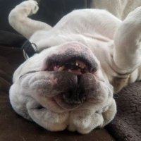Jon Tebay (@thejontebay) 's Twitter Profile Photo Jon Tebay (@thejontebay) 's Twitter Profile Photo