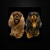 The boys๐๐๐๐๐ (@theboys19208472) Twitter profile photo The boys๐๐๐๐๐ (@theboys19208472) Twitter profile photo
