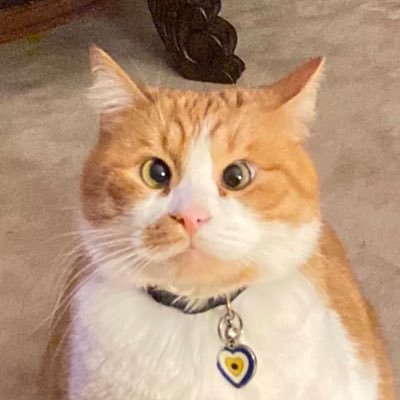 gguyspt's profile picture. it’s me. hi, I’m the problem. it’s me ✨ 💖 @landonorris