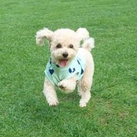 희희 (@lisponwa) 's Twitter Profile