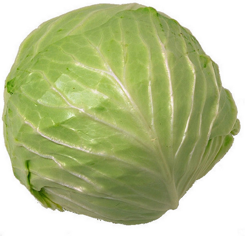 MartinPubehat's profile picture. Im a cabbage