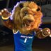 Brian Reiber (@williehofstra) Twitter profile photo Brian Reiber (@williehofstra) Twitter profile photo