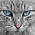 Carter Robinson (@robinsonca90128) Twitter profile photo Carter Robinson (@robinsonca90128) Twitter profile photo