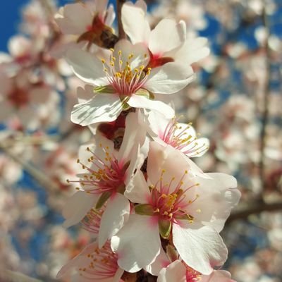 moya_casado's profile picture. 