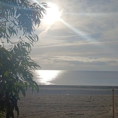 Sailor12i's profile picture. 