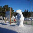 gricelda herrera - @gricelda1950 - Twitter