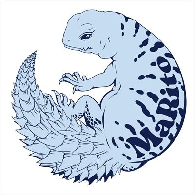 MaRito_555's profile picture. ⚠️爬虫類注意⚠️レオパ♂、クレス♀、オルナータトゲオアガマ♂♀、エジプトトゲオアガマ、モモイロインコ♂飼ってます🦎🦜無言フォロー失礼します