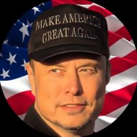 Musk (@_spacexelon__) 's Twitter Profile