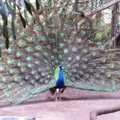 PERR84825714's profile picture. 