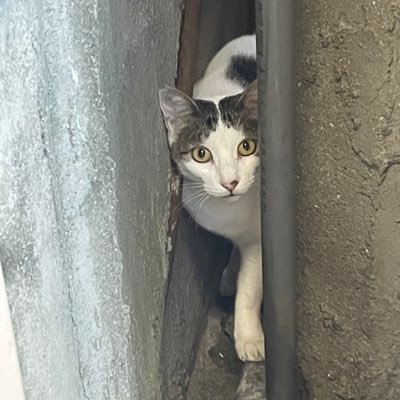 r_taroo__'s profile picture. 