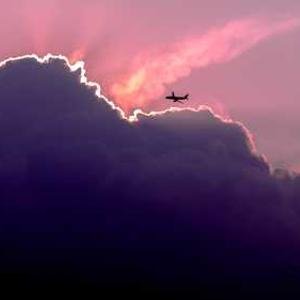 CamfieldFl37209's profile picture. 