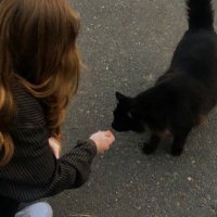 ✨ (@samla__) 's Twitter Profile