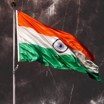 Indian45312894's profile picture. 